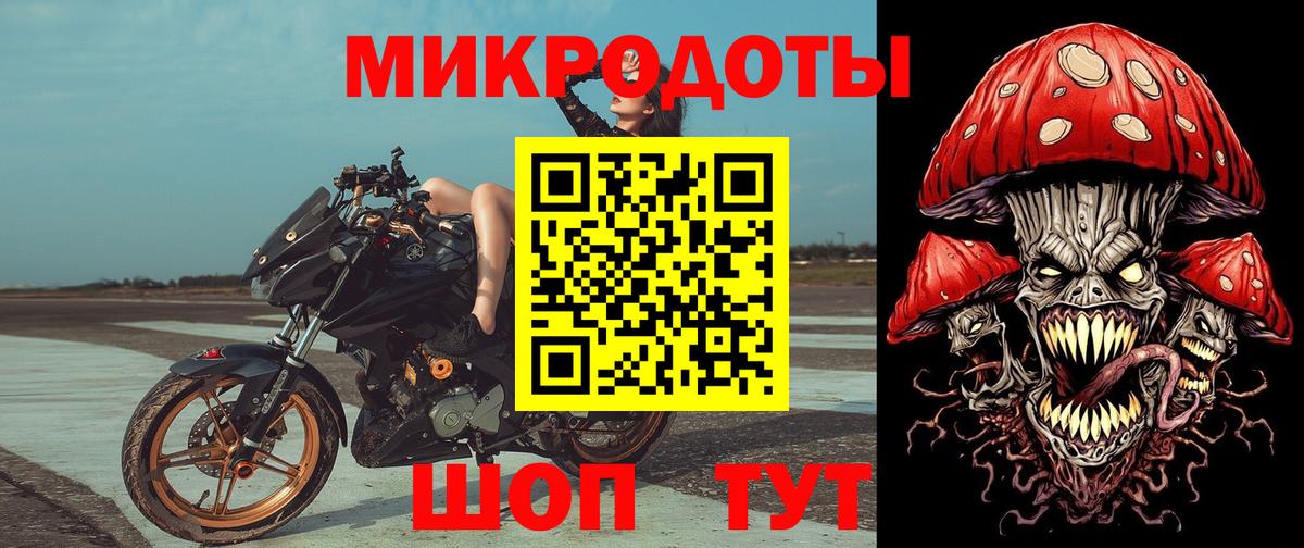 Галлюциногенные грибы Psilocybe Избербаш