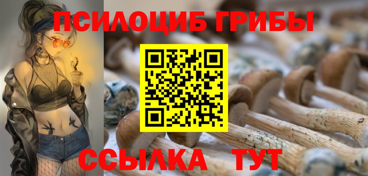 Псилоцибиновые грибы прущие грибы  цена наркотик  Избербаш  Галлюциногенные грибы ЛСД  Вход с VPN 